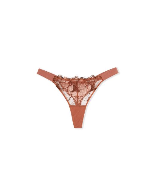 Etam Multicolor String Prelude
