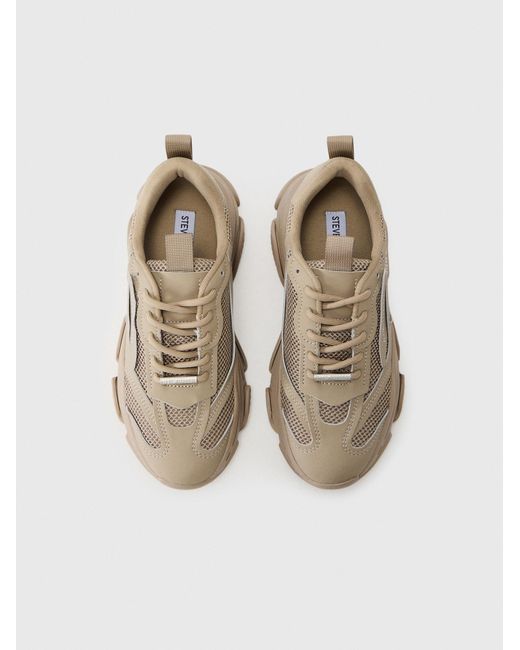 Steve Madden White Sneaker Possession-E