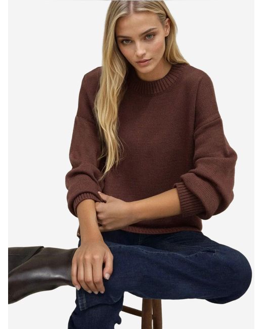 Hiccup Brown Pullover