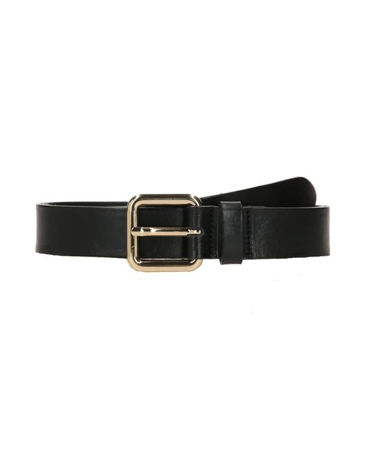 Vanzetti Black Gürtel