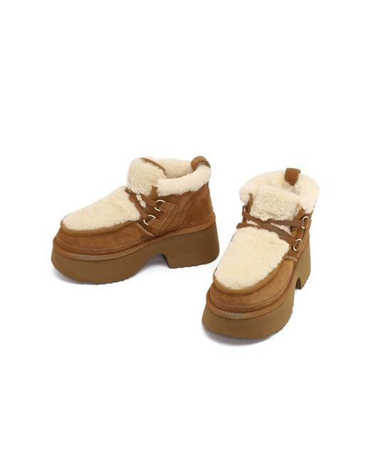 Derimod Brown Stiefelette