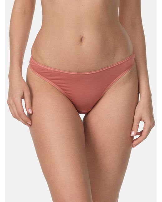 Nur die Blue String Basic