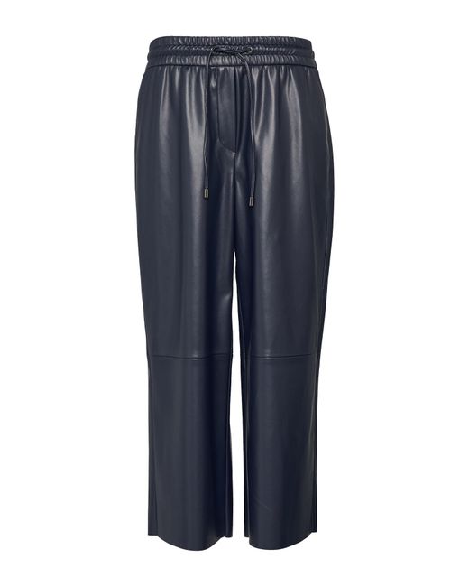 comma casual identity Blue Hose