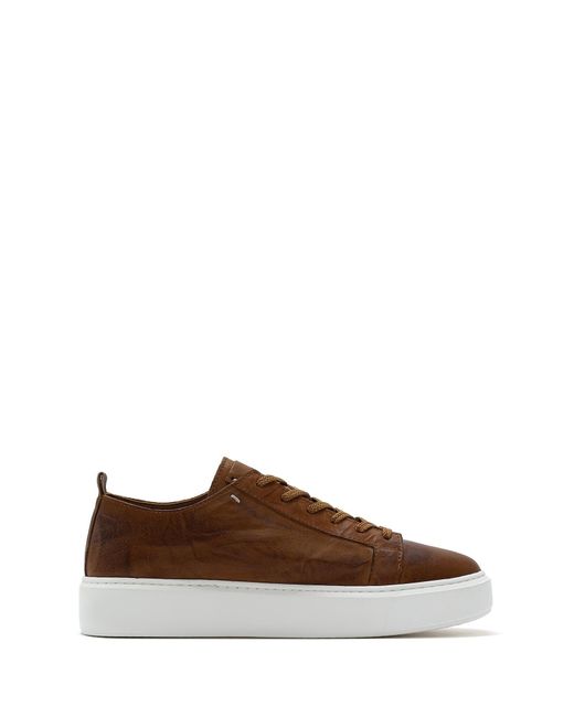 Derimod Sneaker in Brown für Herren