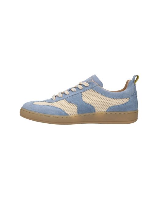 Salamander Blue Sneaker