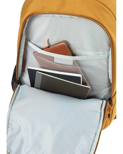 Nitro Rucksack Chase in Brown für Herren
