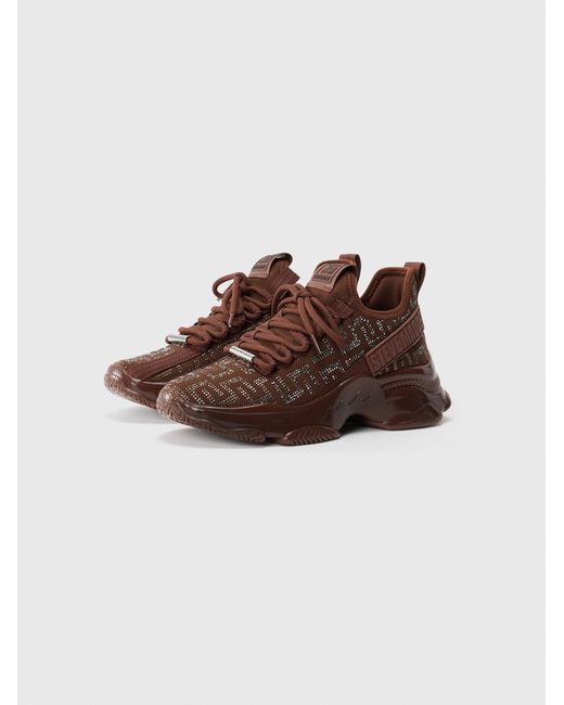 Steve Madden Brown Sneaker Maxout