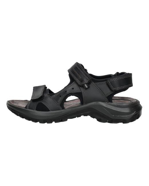 Igi&co Trekkingsandale in Black für Herren