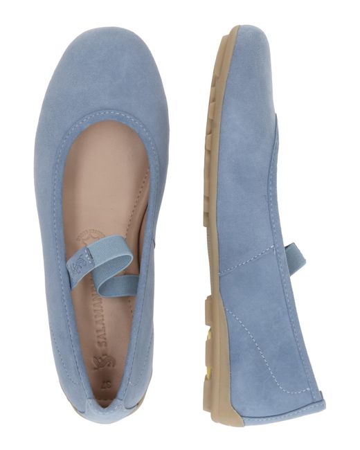 Salamander Blue Ballerina