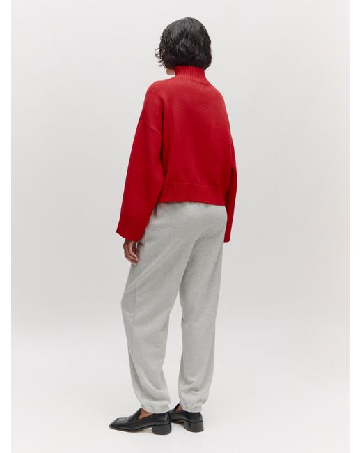EDITED Red Pullover 'nohea' (grs)