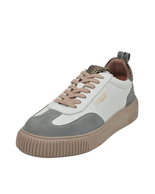 CRICKIT Gray Sneaker Ula