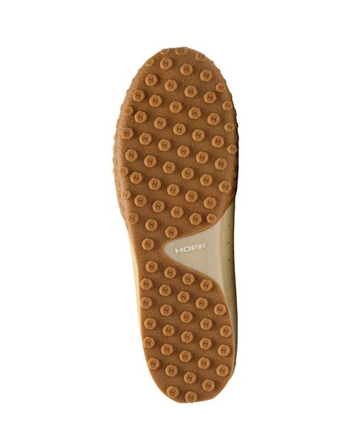 HOFF White Sneaker Bridge Fl
