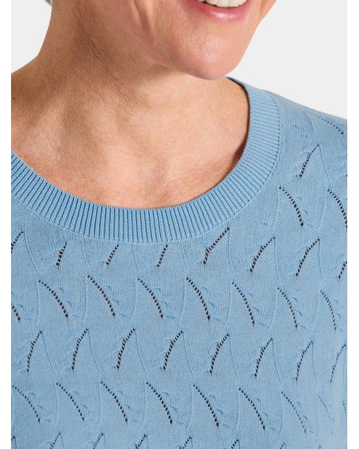 Goldner Blue Pullover