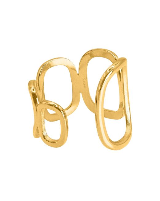Heideman Metallic Ring Variu