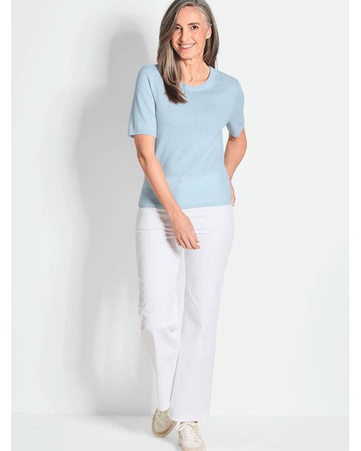 Goldner Blue Pullover