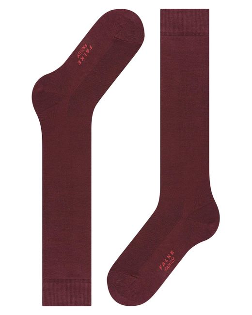 Falke Red Kniestrümpfe Family