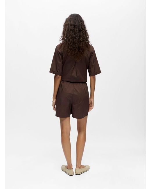 Object Brown Hose
