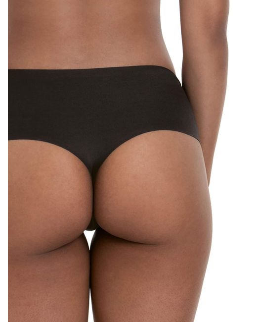Anita Blue String Essentials