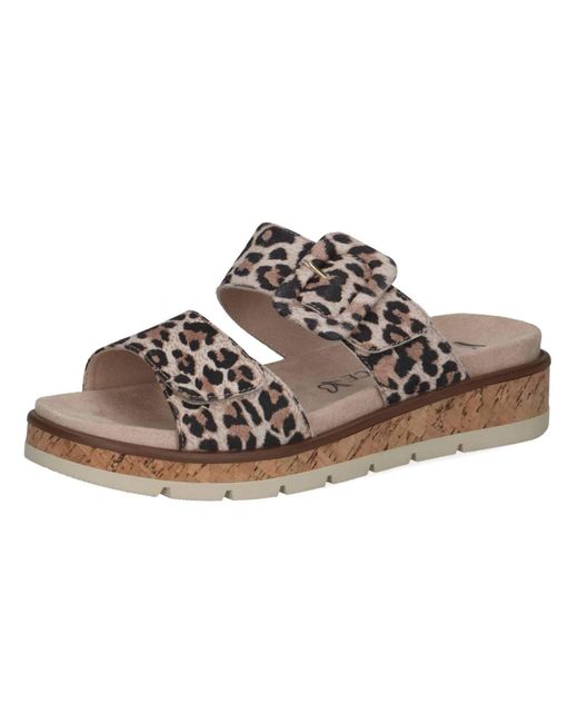 Caprice Brown Pantolette
