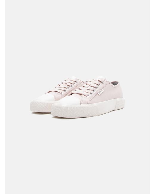 Calvin Klein Pink Sneaker Luna