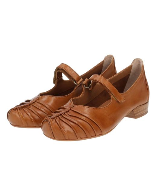 Everybody Brown Ballerina