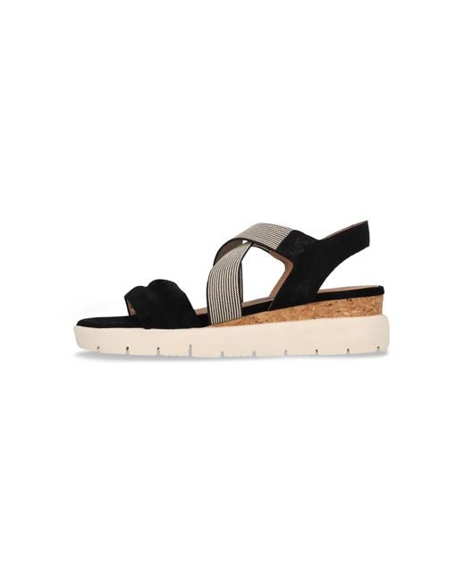 Salamander Black Sandale