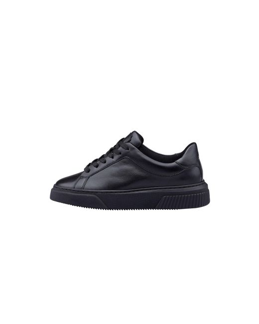 Lloyd Blue Sneaker Grace