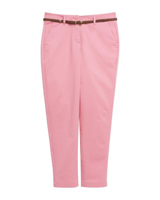 Comma, Pink Hose