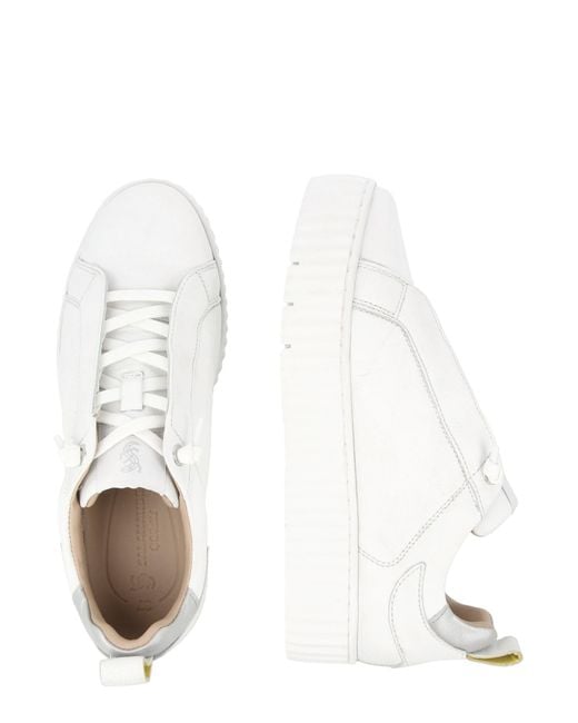 Salamander Natural Sneaker
