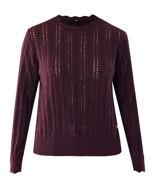 Mexx Purple Pullover
