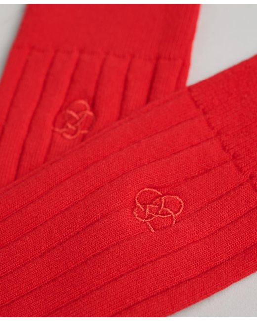 Superdry Socken in Rot | Lyst DE
