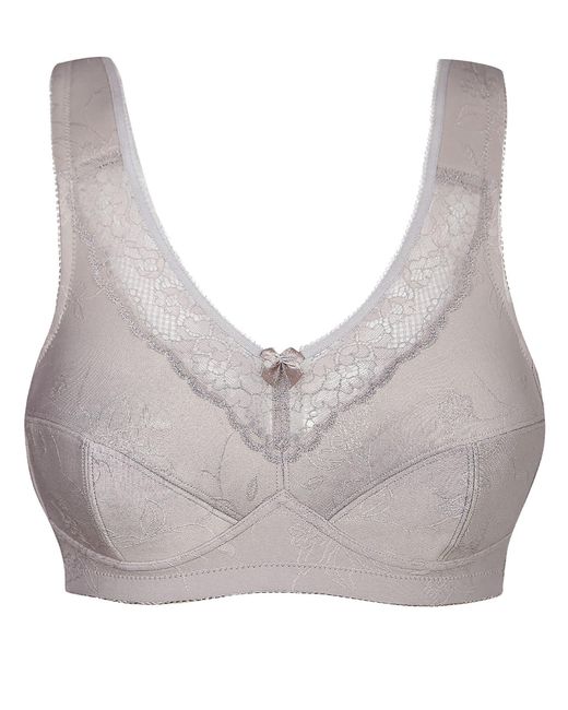 SUSA Gray Bh Basic