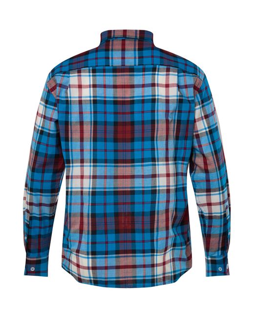 Men Plus Hemd in Blue für Herren