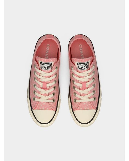 Converse Pink Sneaker