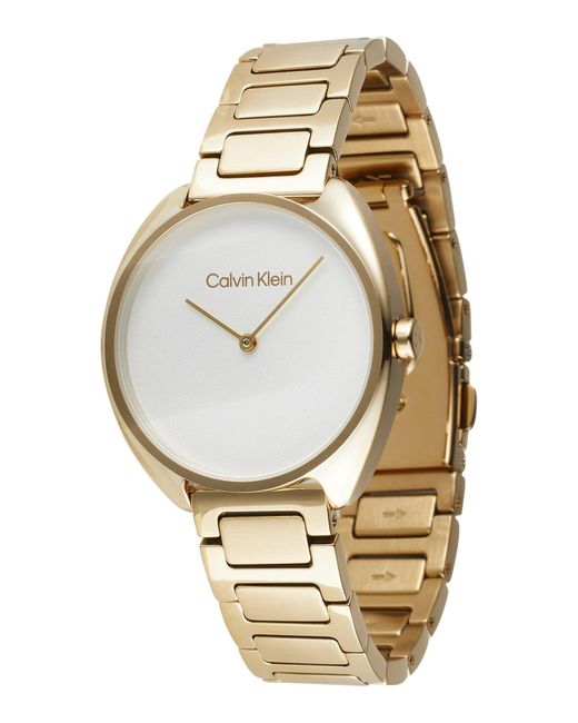 Calvin Klein Metallic Uhr 'timeless'
