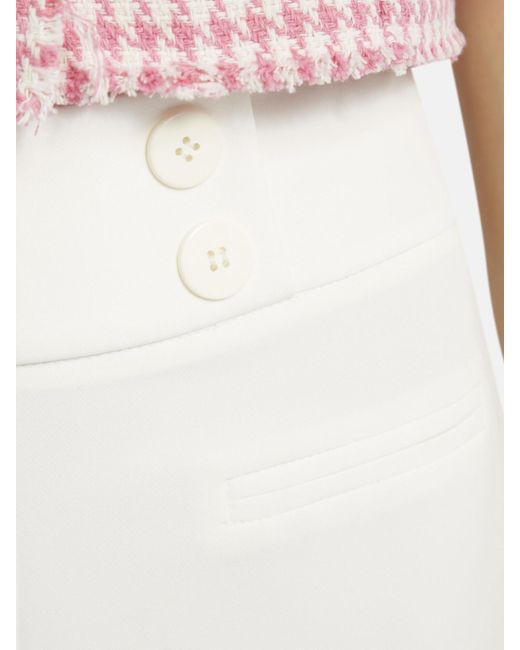 Nicowa White Hose 'Coreana'