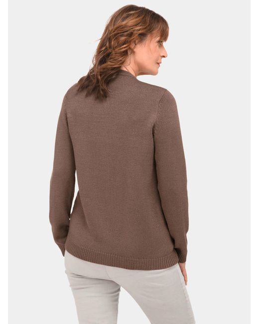Goldner Brown Pullover