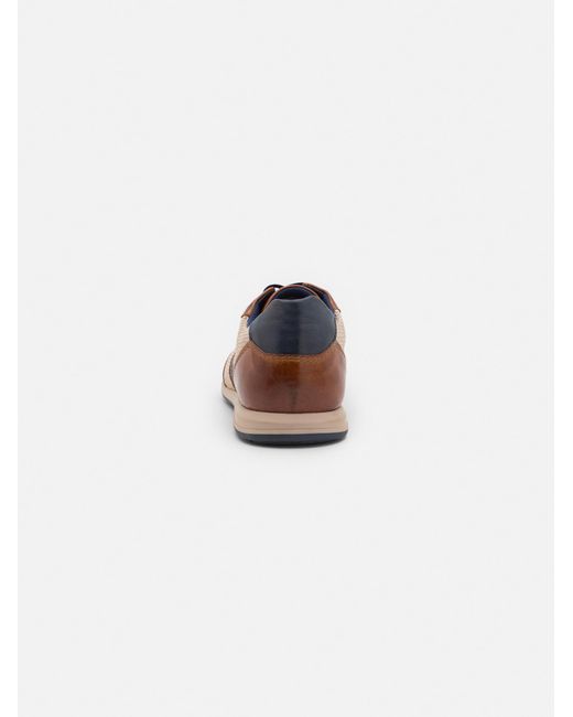 Bugatti Sneaker in Brown für Herren