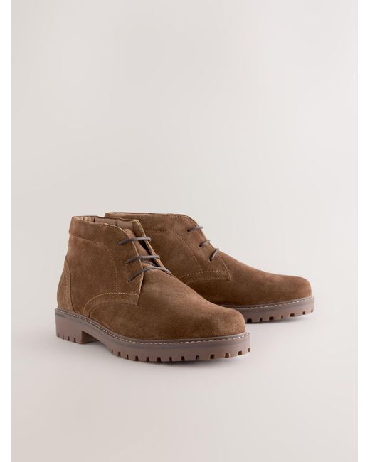 Next Chukka Boots in Brown für Herren