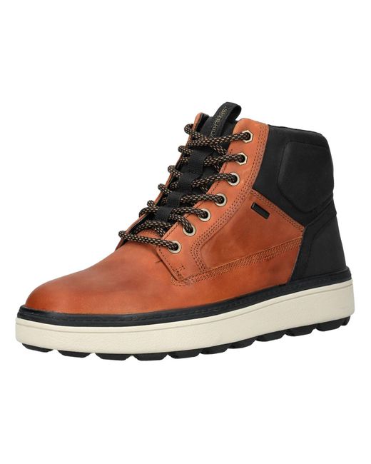 Geox Stiefelette in Brown für Herren