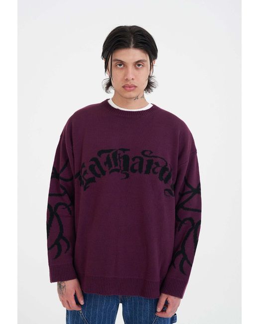 Ed Hardy Pullover in Purple für Herren