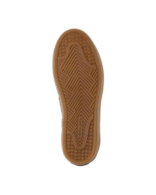Tamaris Brown Sneaker