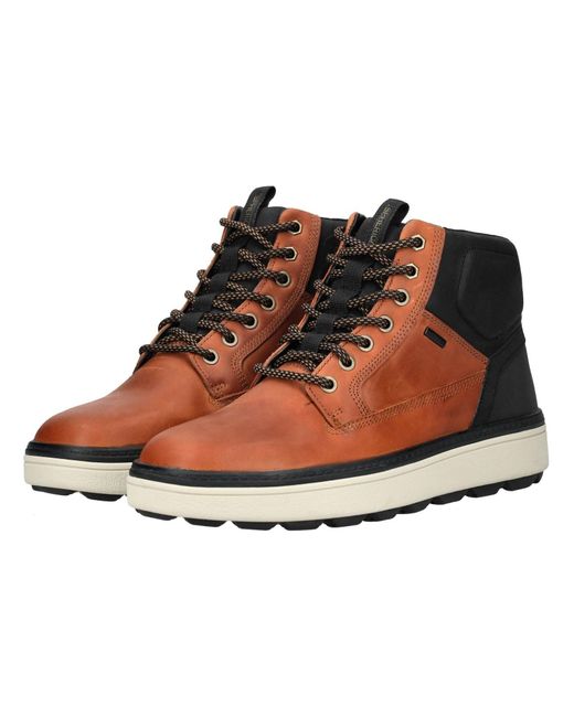 Geox Stiefelette in Brown für Herren