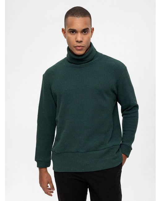 Antioch Pullover in Green für Herren