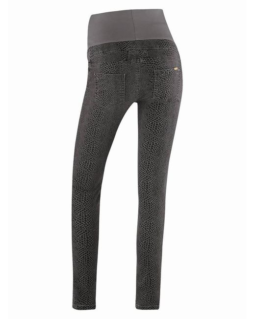 Bellybutton Gray Hose