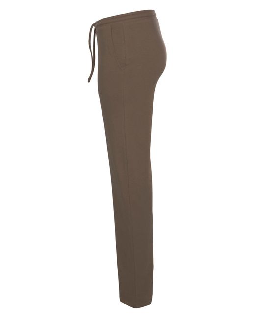 Flashlights Brown Hose