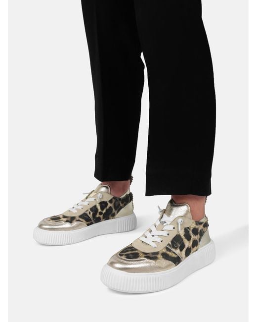 CRICKIT Metallic Sneaker Oakli