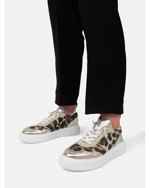 CRICKIT Metallic Sneaker Oakli
