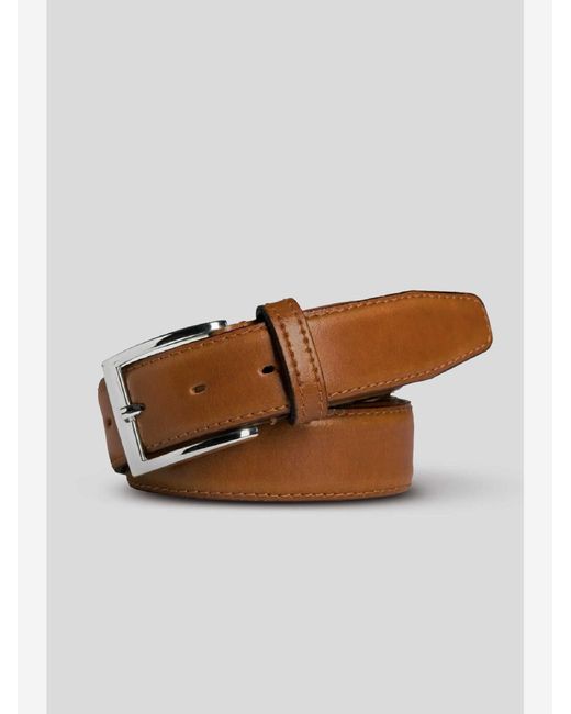 Meyer Gürtel in Brown für Herren