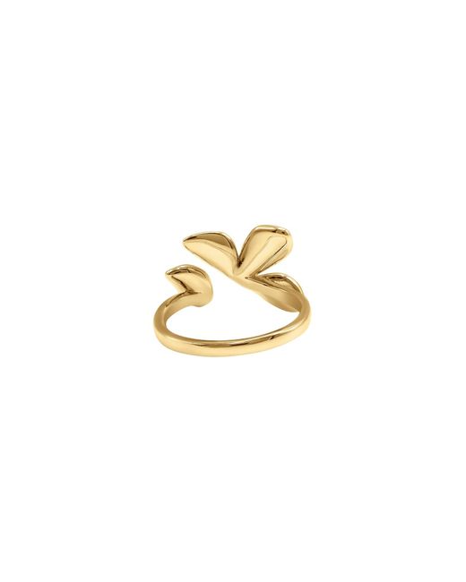 Heideman Metallic Ring